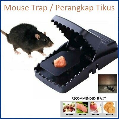 4 Pics mouse Trap Clip